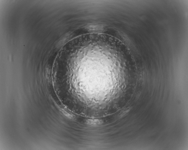 X0000080680281200612151231