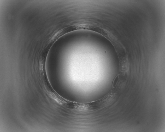 X0000080680282200612151231