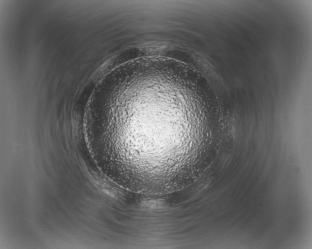 X0000080680283200612151231