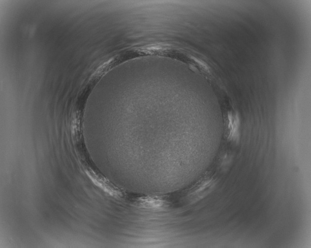 X0000080680284200612151231