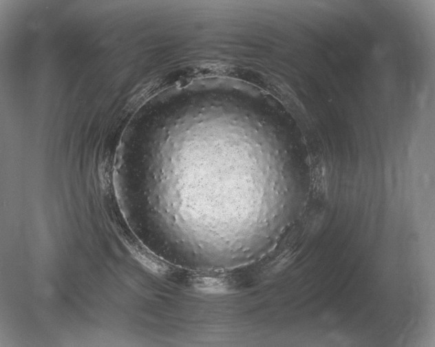 X0000080680285200612151231