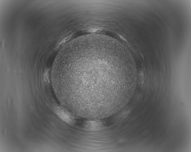 X0000080680286200612151231
