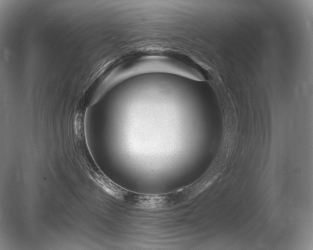 X0000080680288200612151231