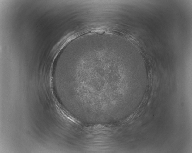 X0000080680290200612151230