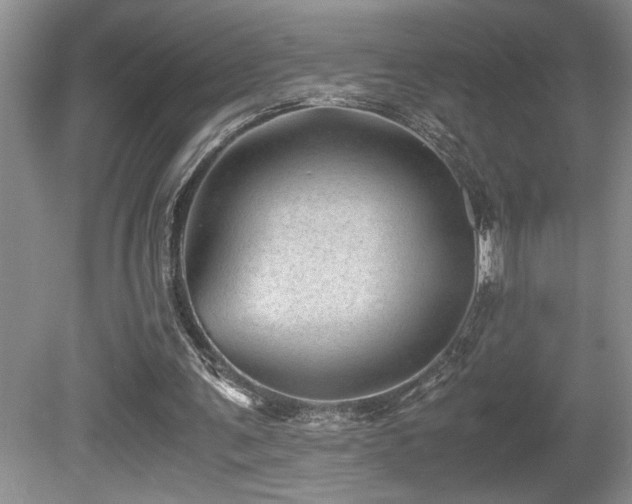 X0000080680291200612151230