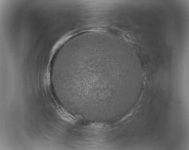X0000080680294200612151230