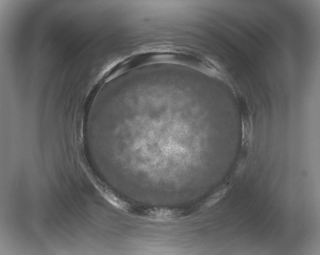 X0000080680301200612151230