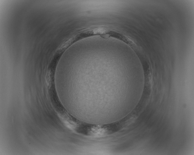 X0000080680311200612151230