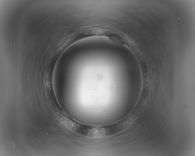 X0000080680317200612151229