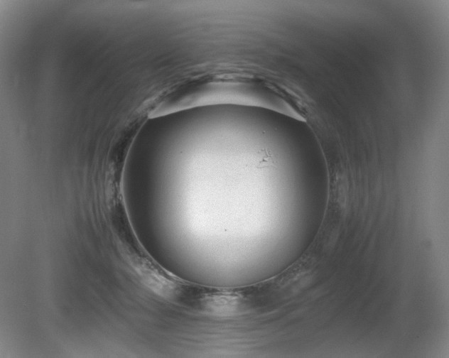 X0000080680318200612151229