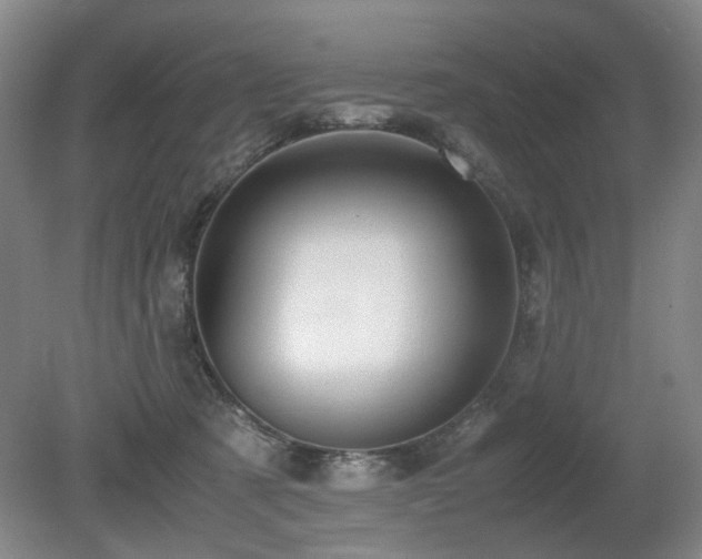 X0000080680321200612151229