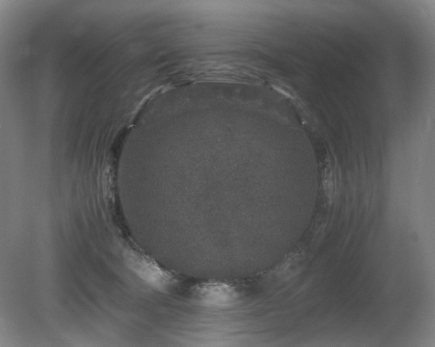 X0000080680322200612151229