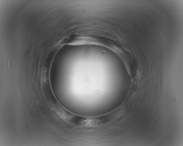 X0000080680323200612151229