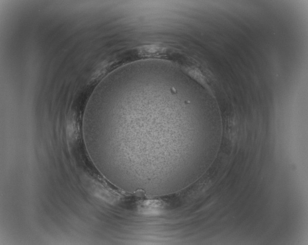 X0000080680324200612151229