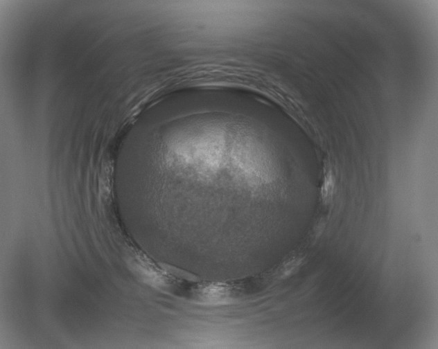 X0000080680325200612151229