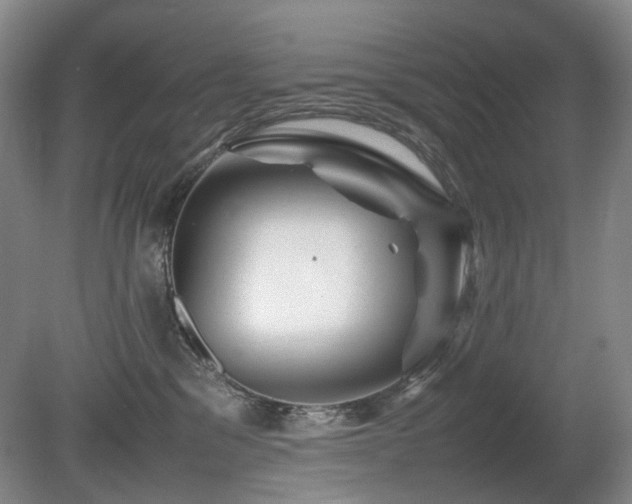X0000080680329200612151229