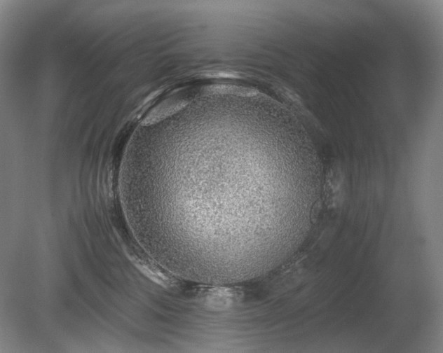 X0000080680330200612151229