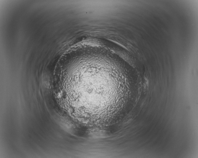 X0000080680331200612151229