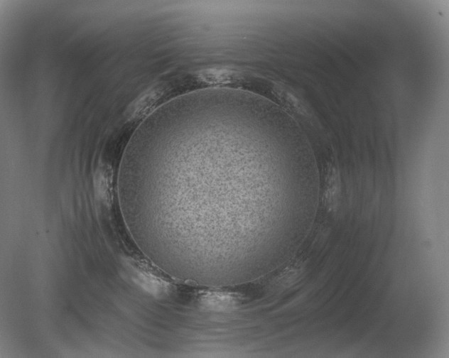 X0000080680332200612151229