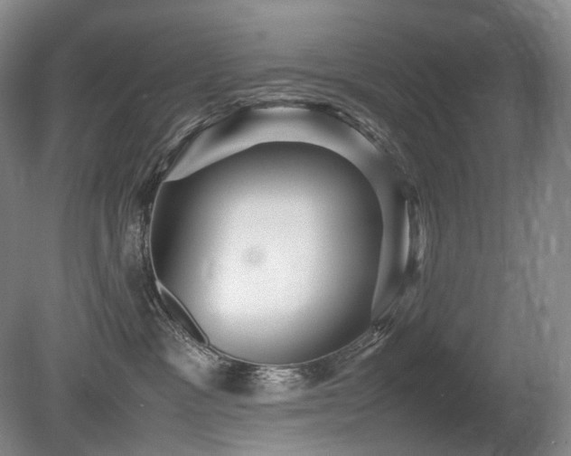 X0000080680333200612151229