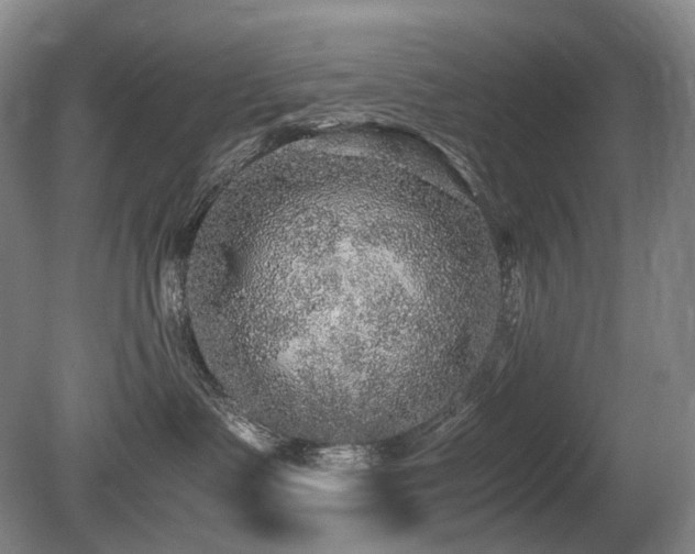 X0000080680335200612151229