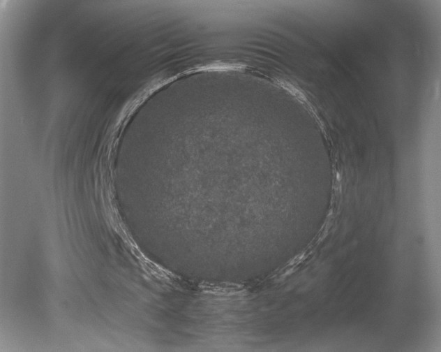 X0000080680337200612151228