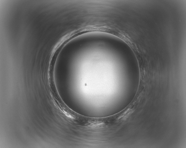 X0000080680340200612151228