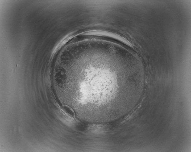 X0000080680341200612151228