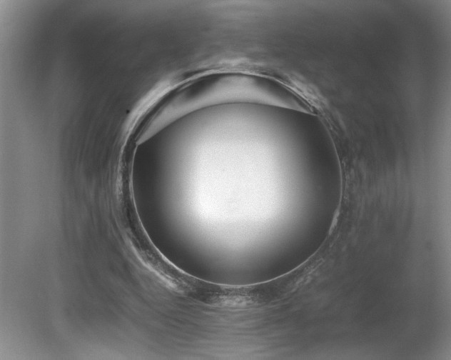 X0000080680344200612151228