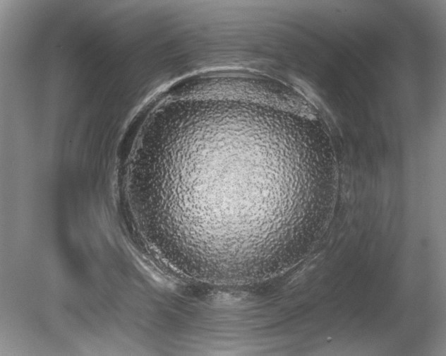X0000080680346200612151228