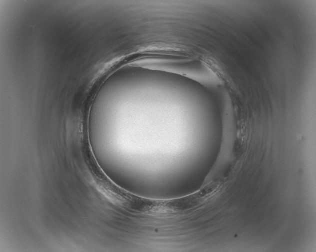 X0000080680348200612151229