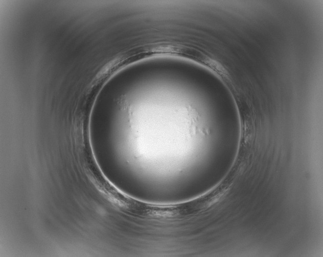X0000080680349200612151229