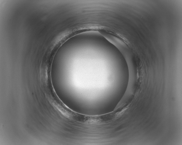 X0000080680350200612151229