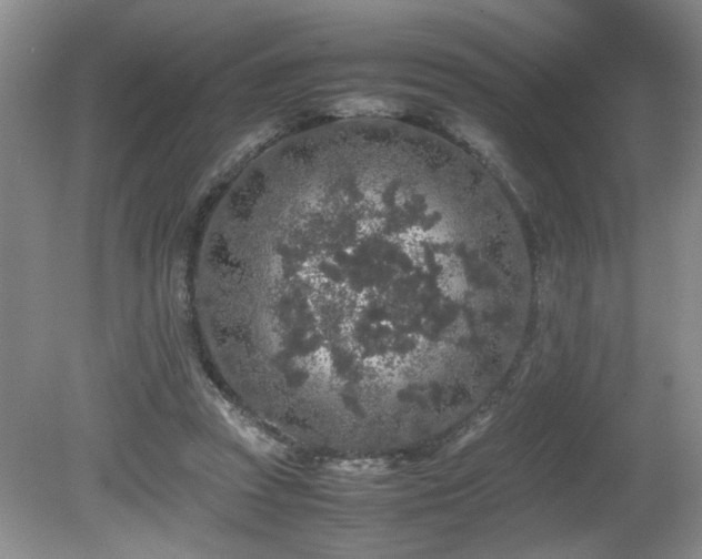 X0000080680353200612151229