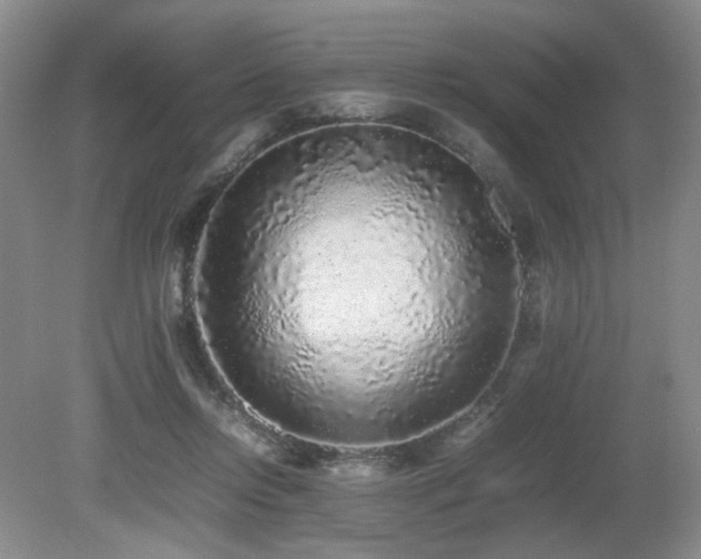 X0000080680358200612151229