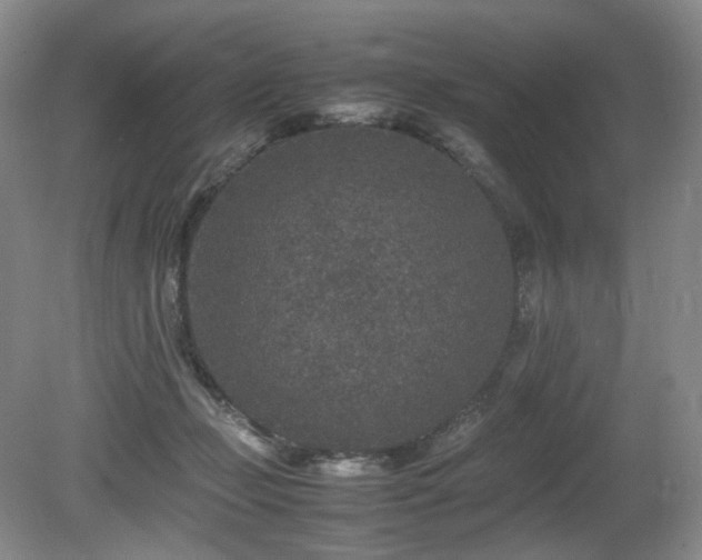 X0000080680365200612151229