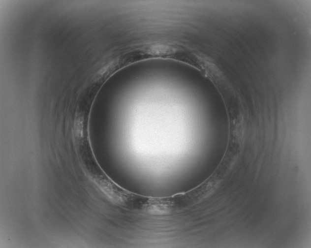 X0000080680368200612151229