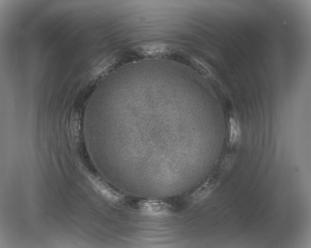 X0000080680372200612151229