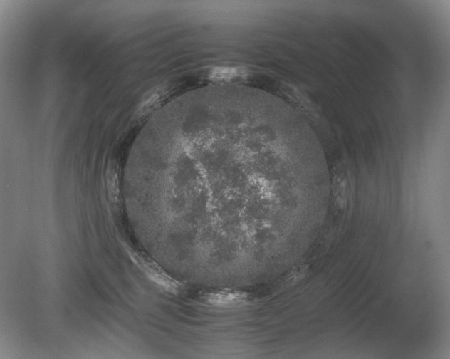 X0000080680375200612151229