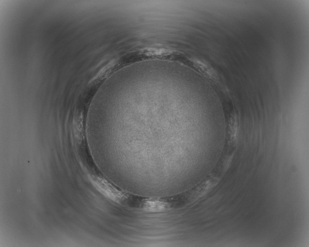 X0000080680376200612151229