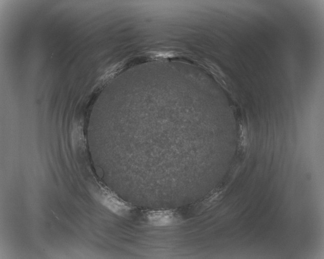X0000080680377200612151229