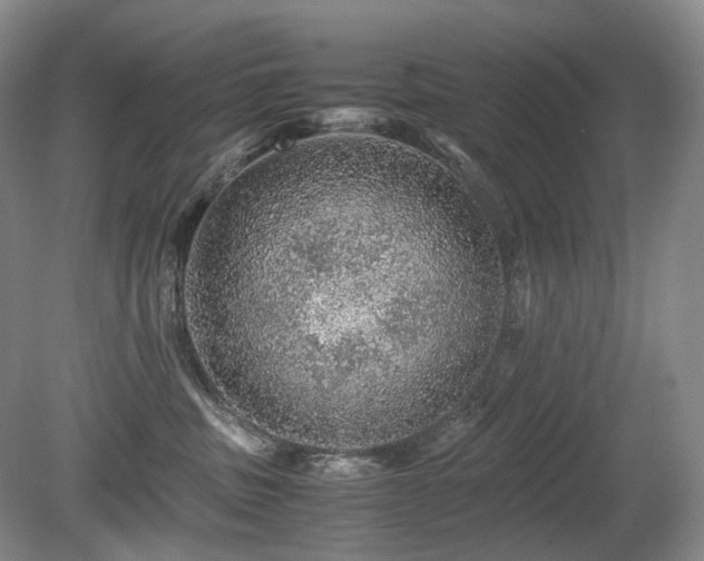 X0000080680379200612151229