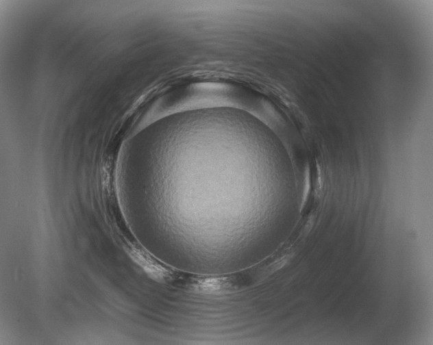 X0000080680382200612151229