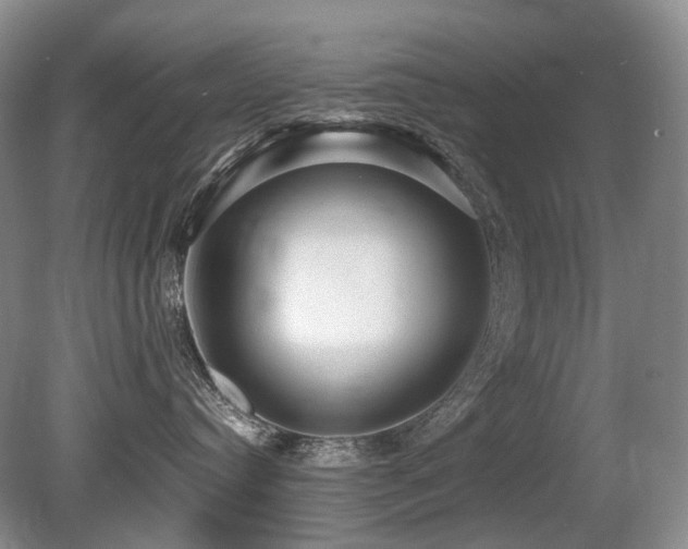 X0000080680384200612151229