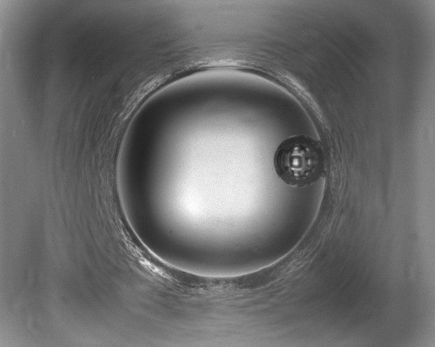 X0000080680385200612151228