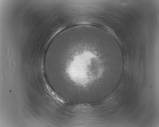 X0000080680386200612151228