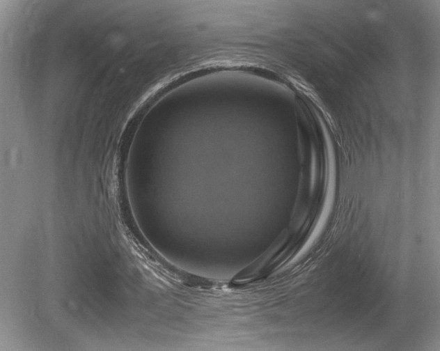 X0000080680387200612151228