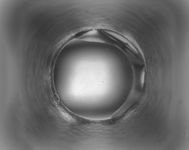 X0000080680389200612151228