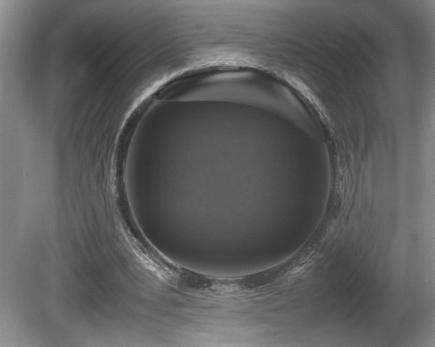 X0000080680391200612151228