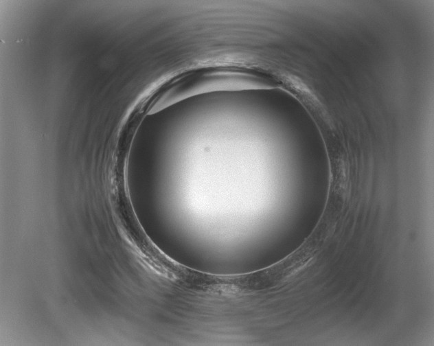 X0000080680392200612151228